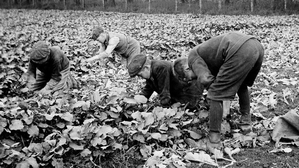 British Home Children working in the fields