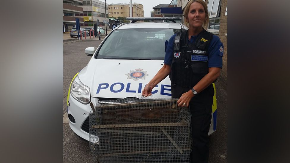 Police officer with the finch trap