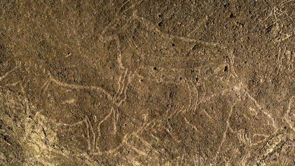 This undated handout picture released by Diputacion Foral de Bizkaia on 13 October 2016 shows cave engravings representing horses and goats, in the Armintxe cave in the Basque village of Lekeitio