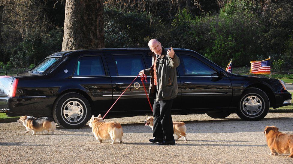 The corgis going for a walk as President Obama visited in 2009