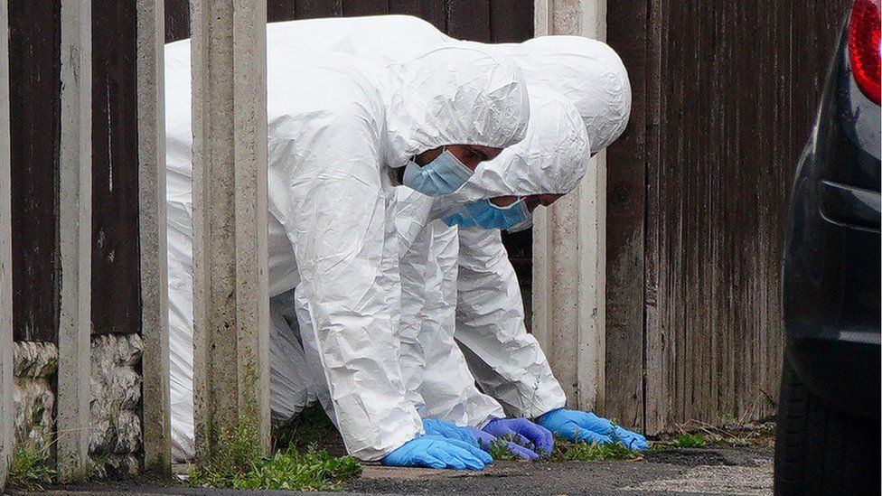 Forensic officers search the ground for evidence