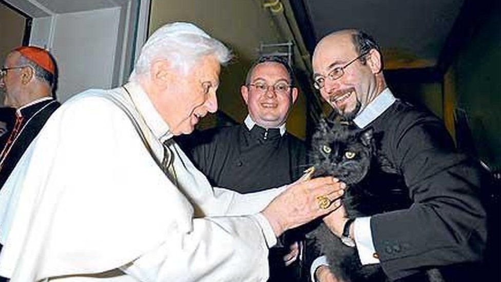 pope blessing cat