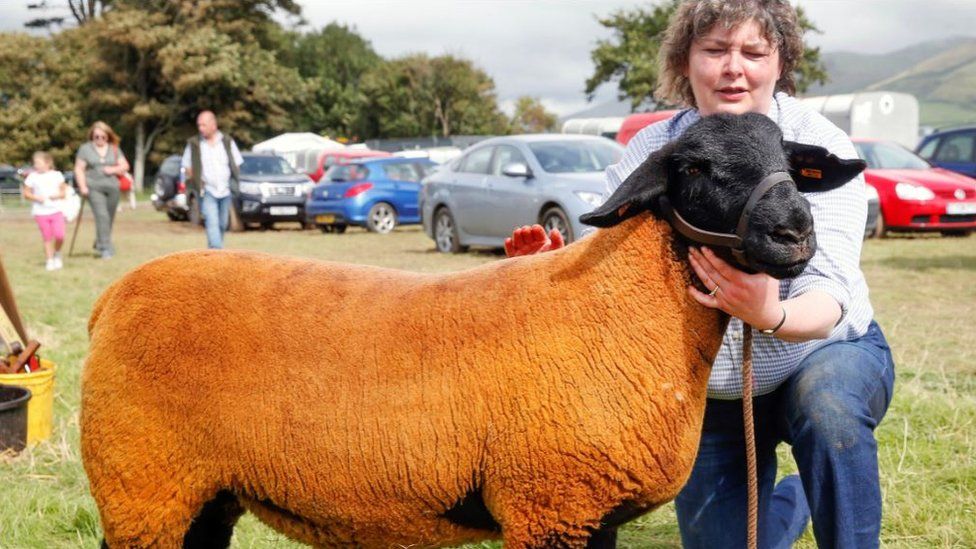 Helen Roberts with one of her sheep