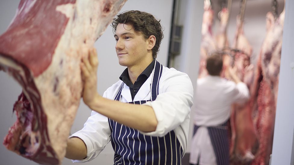A young butcher apprentice moves beef from the cold store in a commercial butchers. In the background a butcher can be seen checking beef carcasses. The young butcher is wearing chef's whites and a striped blue apron