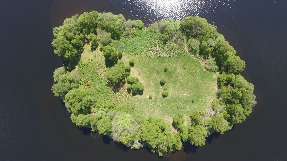 Castle Island, Loch Kinord
