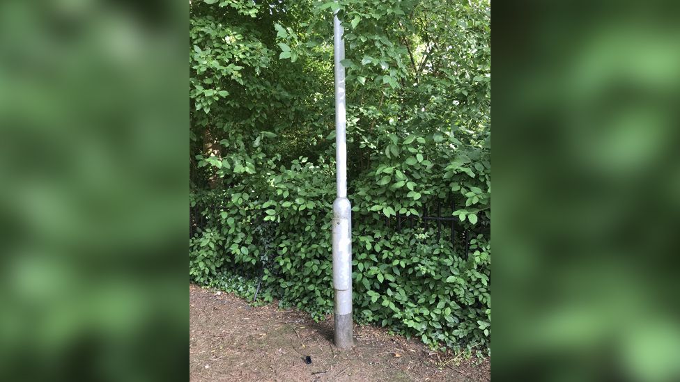 The lamp-post where the squirrel was trapped