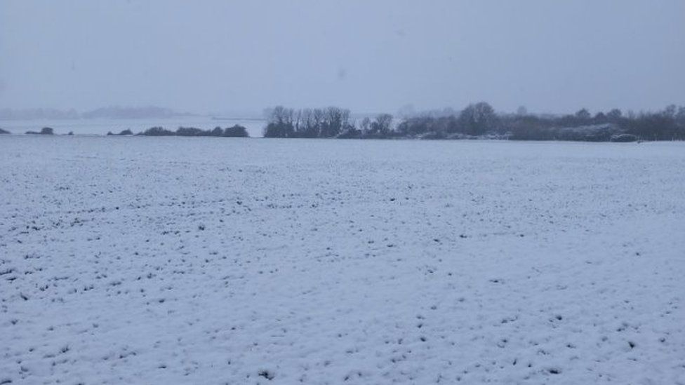 Snowy field in Thurleigh