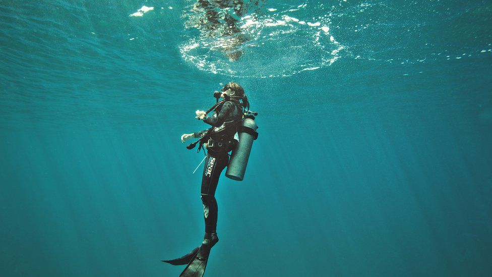 Ilena Zanella diving