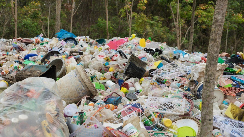 Pile of plastic rubbish in front of forest