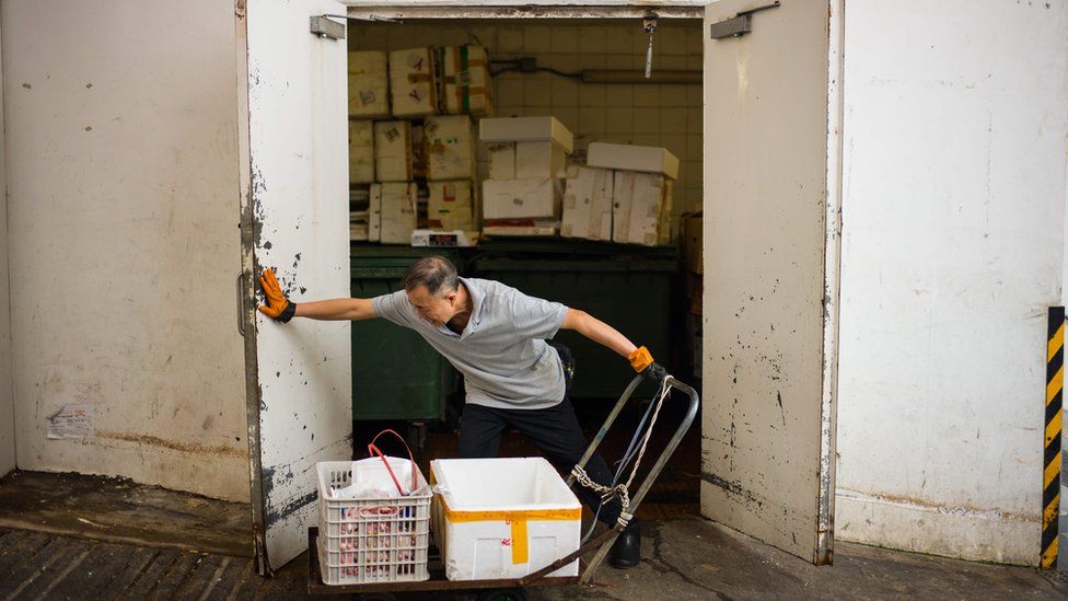 A worker pushes open the doors of a refuse room at the Choi Wan public housing estate in Hong Kong where there were signs of rat infestation were discovered.