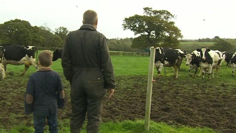 Archie and Nigel watching their cows coming in