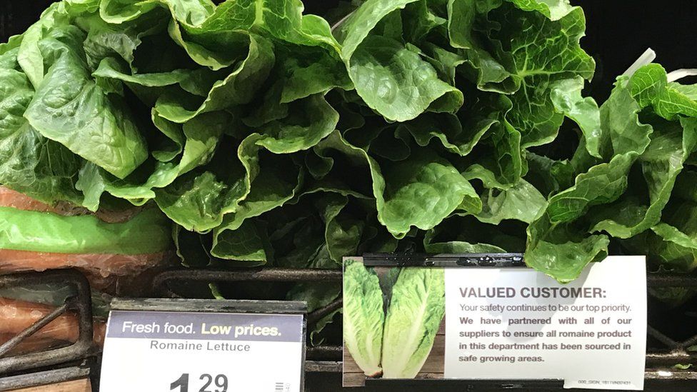 Romaine lettuce on sale in California