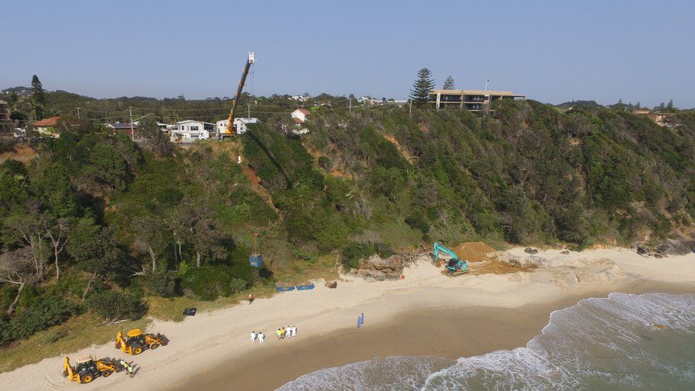 An excavator removes the carcass from Port Macquarie's Nobbys Beach in New South Wales