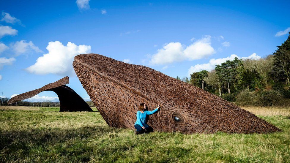 An art installation of life size whales made from willow