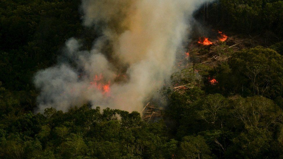 A man-made fire burning in the Amazon