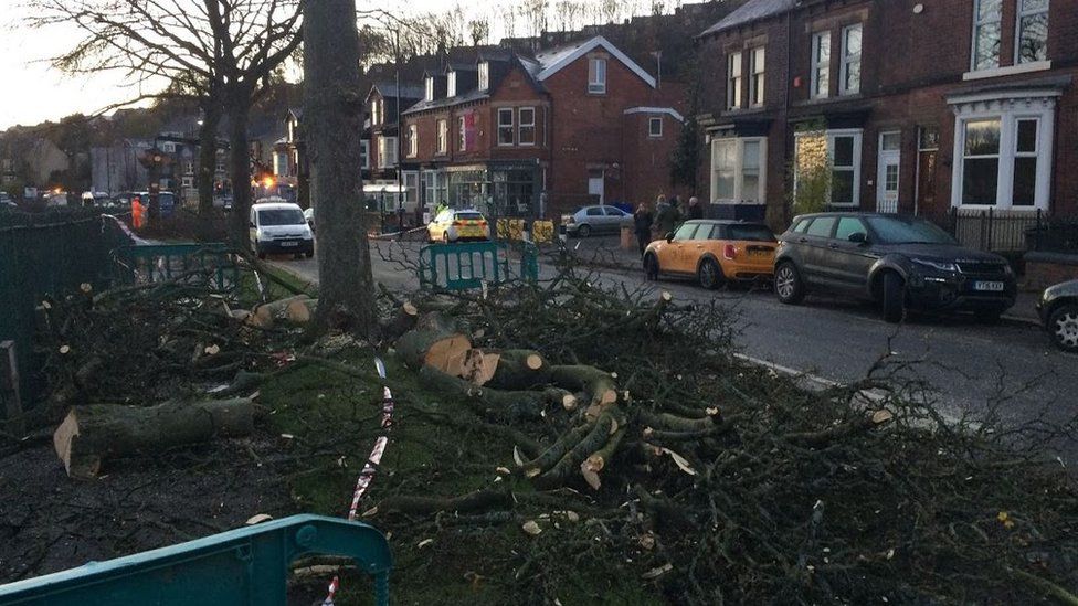 Trees along Rustlings Road in Sheffield were cut down by workers at 05:00, prompting angry scenes from residents who had no prior warning