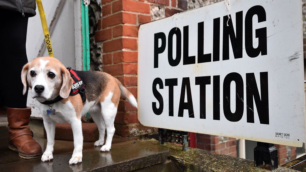 Dog next to a polling station sign