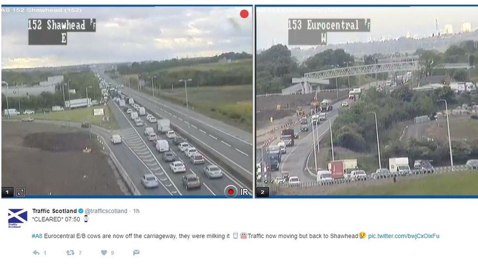 Images of cars backed up on A8