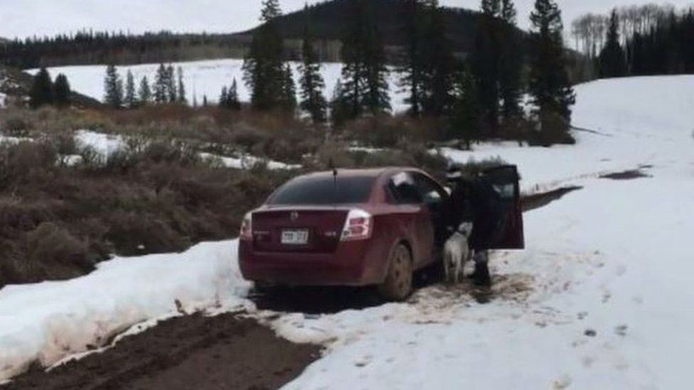 Stein's car got stuck on a remote road in the Colorado Rocky Mountains