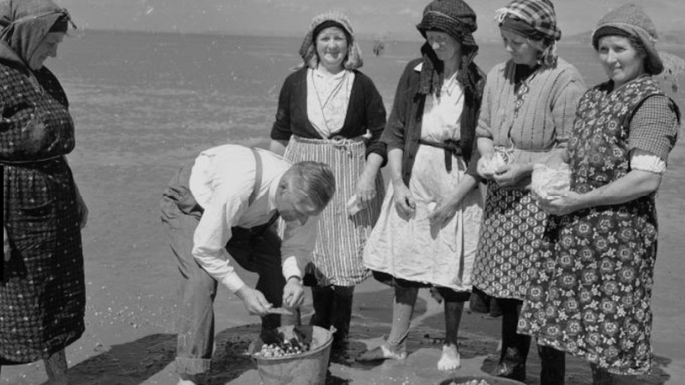 Women collecting cockles in Penclawdd on the Gower Peninsula in 1951