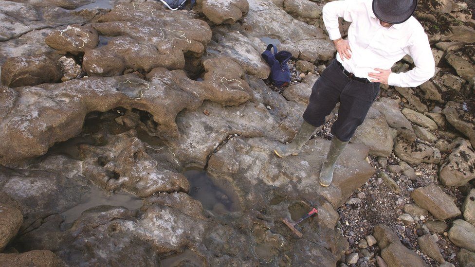 Phil Hadland with some of the excavated footprints