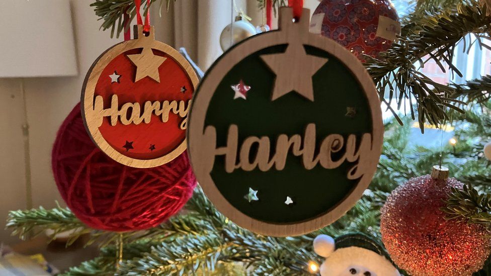 Christmas decorations with Harry and Harley's name on
