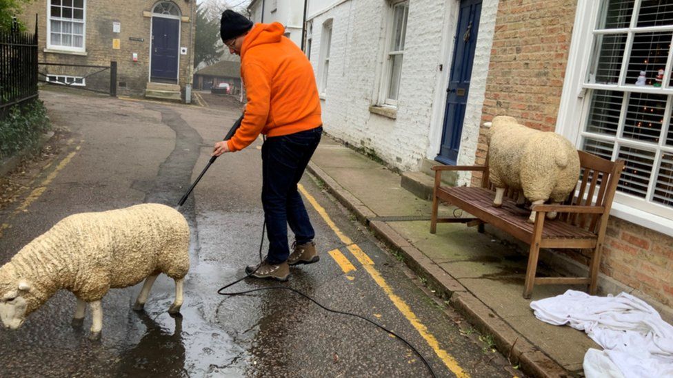 Man washing a sheep model