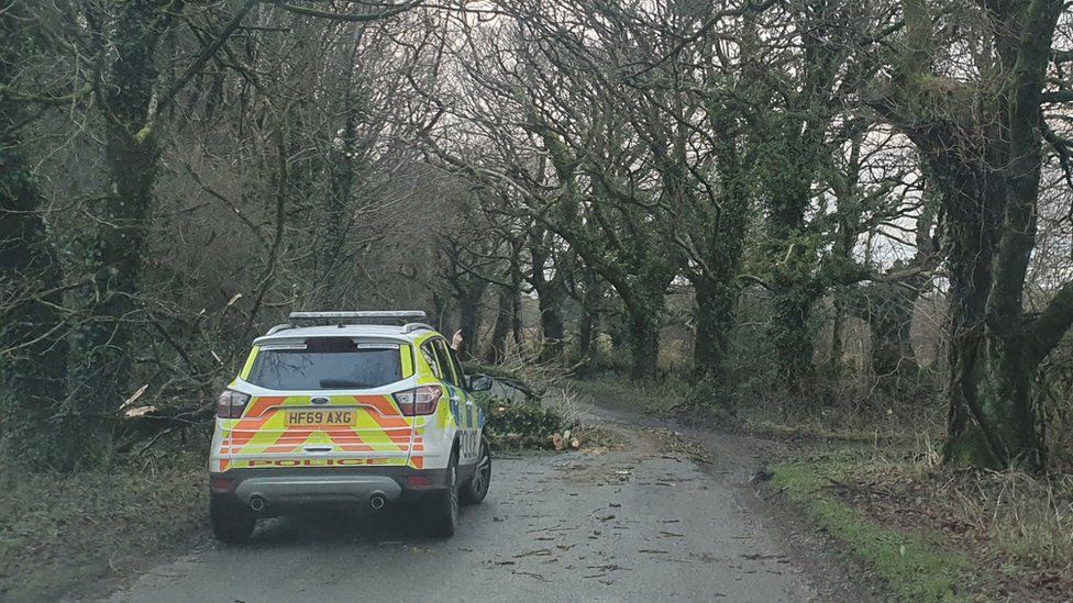 Tree down in a road near Batcombe in Dorset with a police car in the foreground