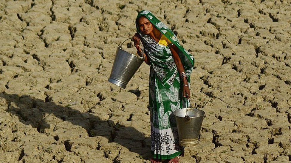 An Indian woman walks on a dried and cracked water pond as she carries bucket to take drinking water in Kaushambi