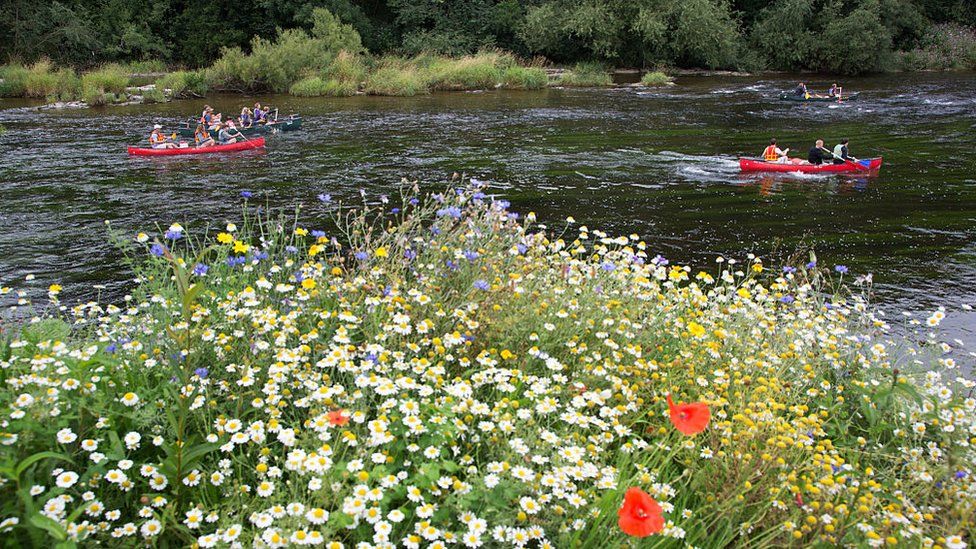 Canoes on the River Wye