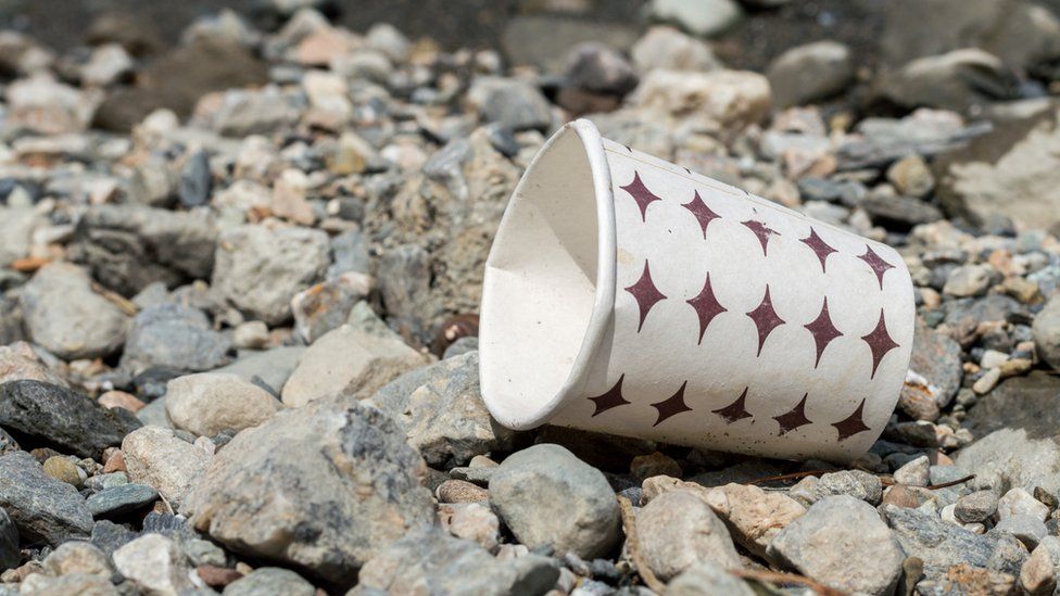 Paper cups lying on rocks
