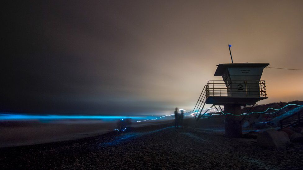 The red tide is bringing a beautiful light night-time display to San Diego beaches