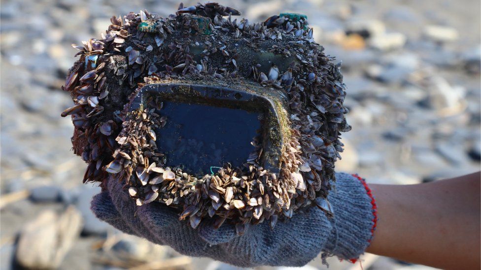 Camera case overgrown with barnacles