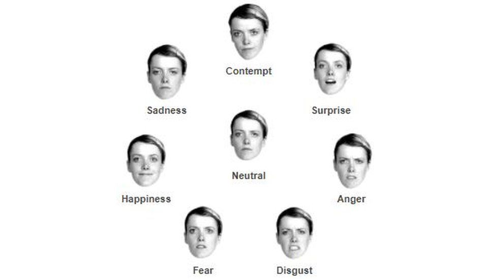 A screenshot of System1's emotions page