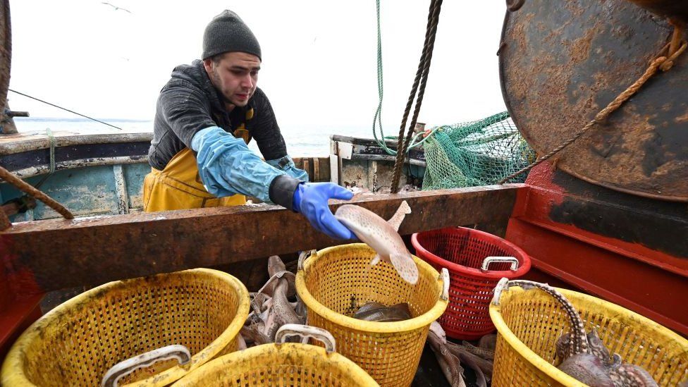 Fisherman on a boat putting a fish into a bucket