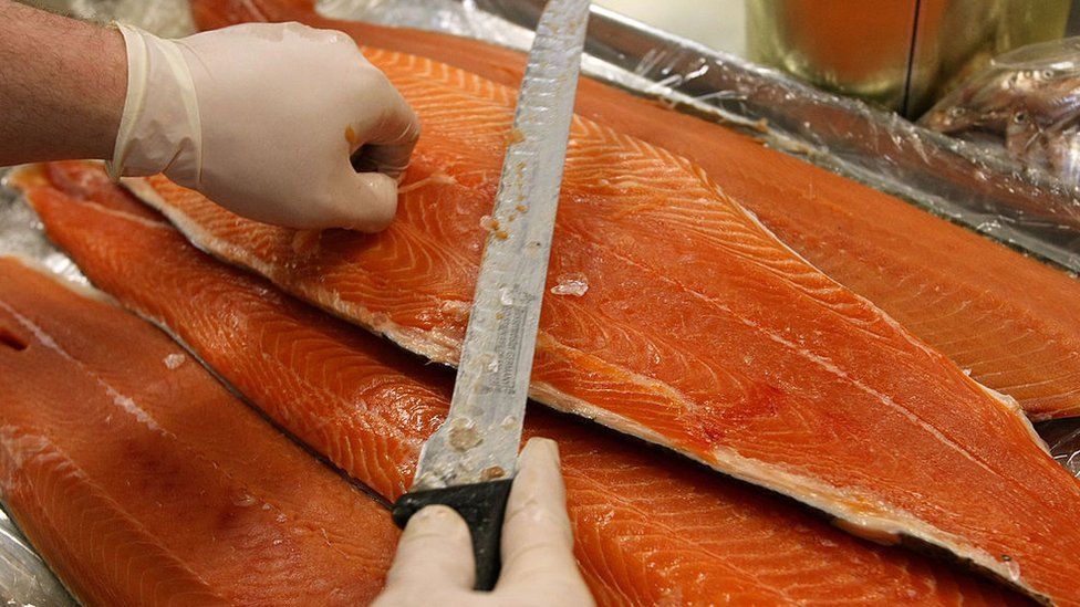 Farmed Scottish salmon being trimmed