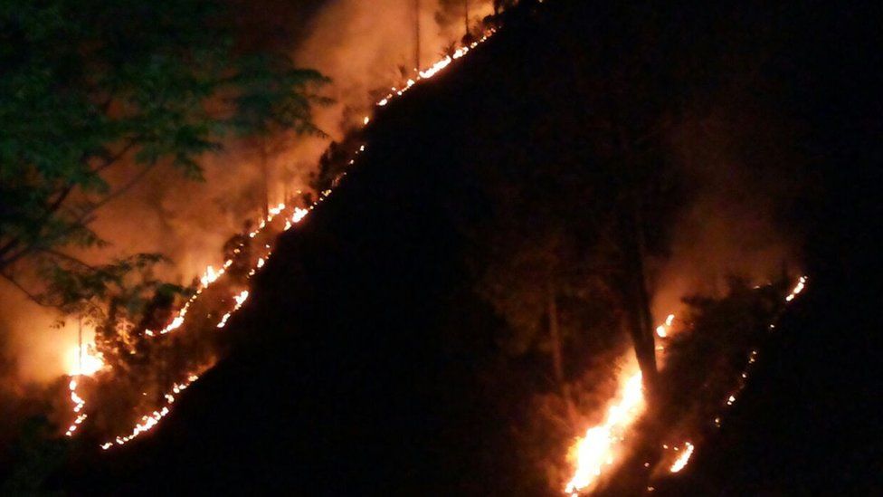 Изображение лесных пожаров, горящих ночью