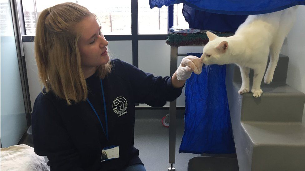 Hannah who volunteers at Battersea Dog and Cats home