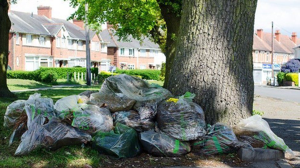 Garden waste in Prince of Wales lane