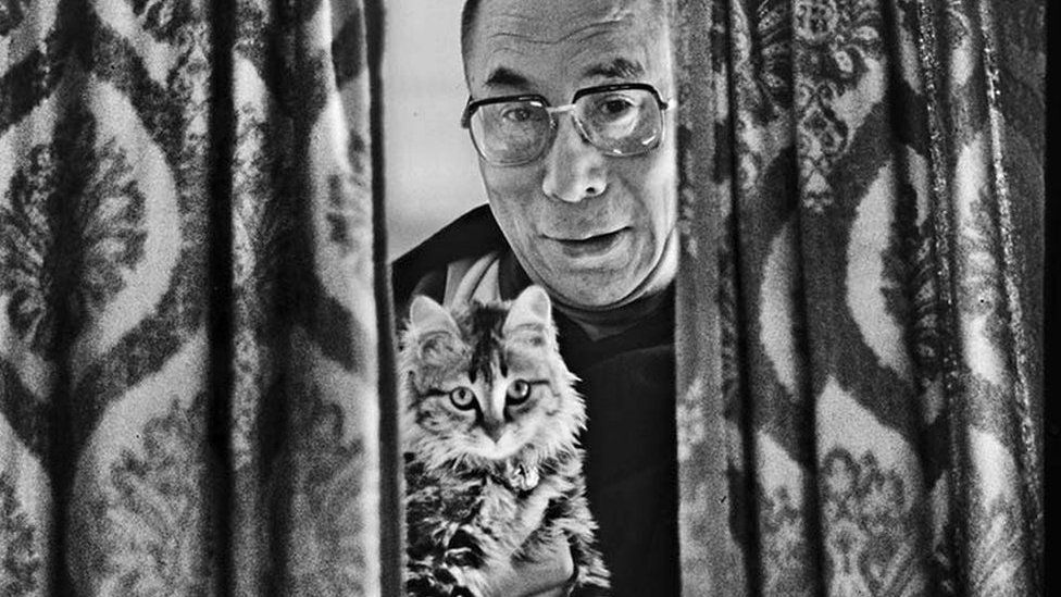 Dalai Lama with his pet cat