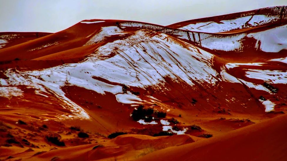 Paisaje nevado del desierto del Sahara. (Foto: gentileza Hamouda Ben jerad)