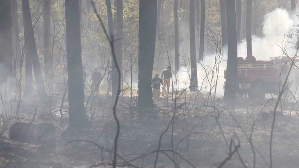 Дым клубится сквозь деревья, пока пожарные пытаются потушить пламя