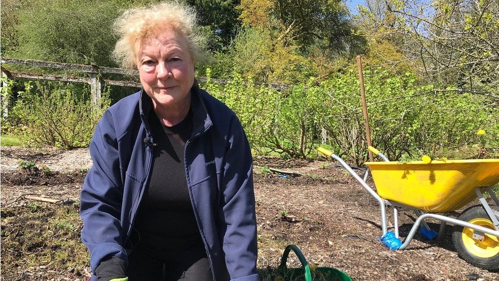 Fermanagh: Florence Court kitchen garden gets new lease of life - BBC News