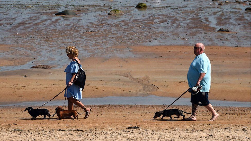 Dog walkers on East Sands Beach in St Andrews
