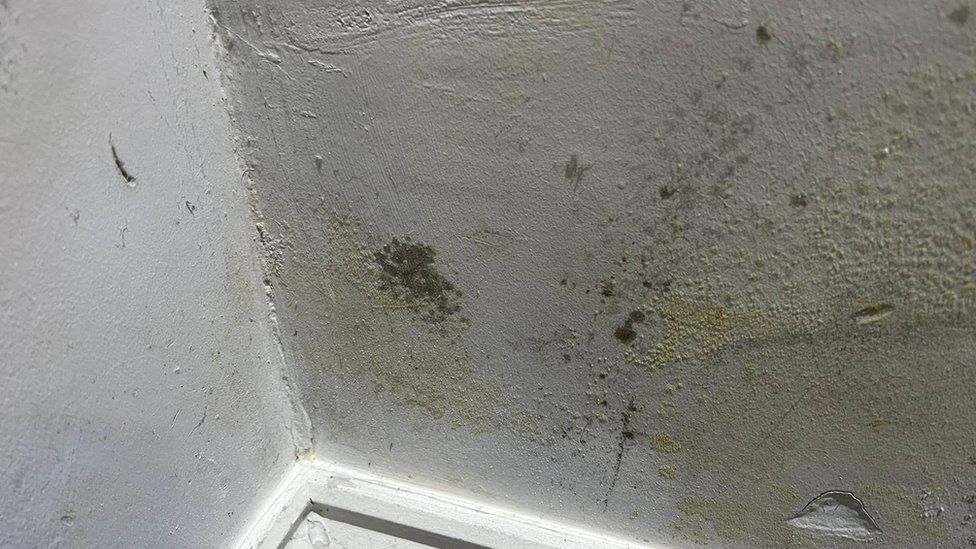 Mould on walls of house in Peel Mount, Salford
