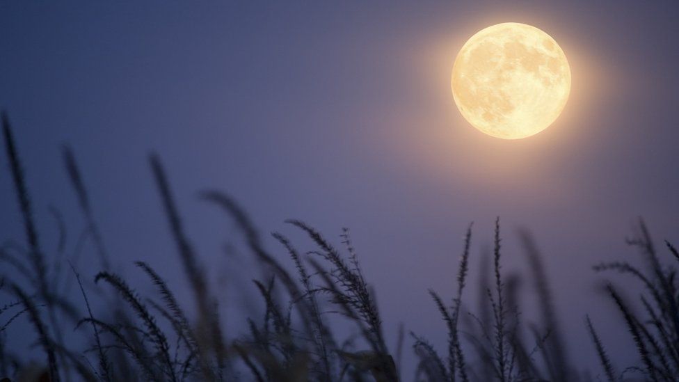 Harvest Moon: What is a supermoon? When will it take place? - BBC Newsround