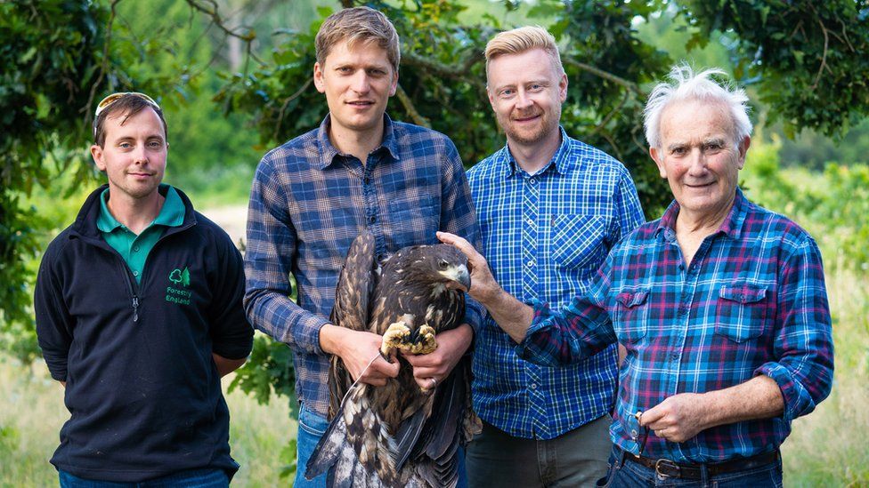 From the left: Stephen Egerton-Read; Tim Mackrill; Ian Peak and Roy Dennis