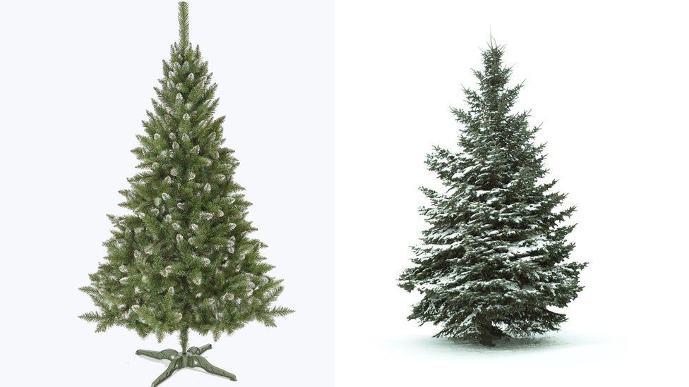 An artificial and a real Christmas tree