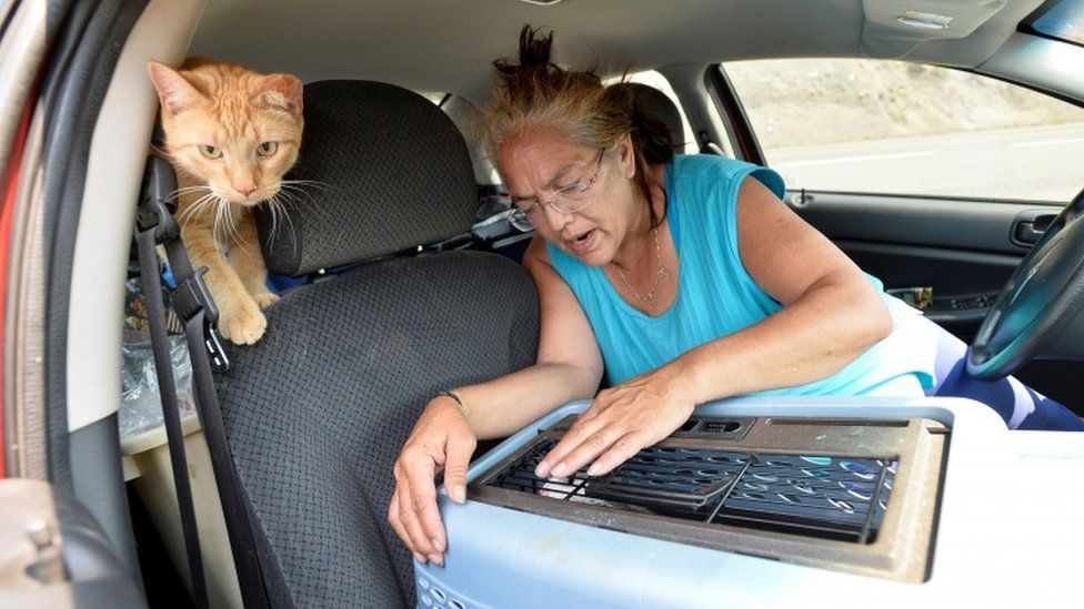 Марта Ван Дайк из Литтона сидит в своей машине со своими кошками, Тиггером и Коной после того, как лесной пожар, бушевавший в ее городе, вынудил жителей эвакуироваться за пределами Литтона, Британская Колумбия, Канада, 1 июля 2021 года