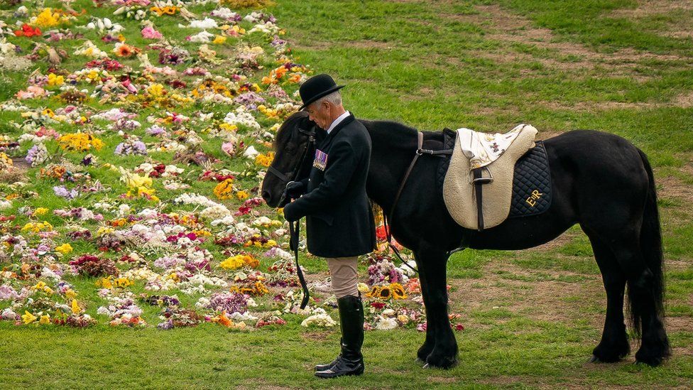 Эмма, павшая пони монарха, стоит, когда церемониальная процессия гроба королевы Елизаветы II прибывает в Виндзорский замок для торжественной службы в часовне Святого Георгия. Дата фото: понедельник, 19 сентября 2022 г.